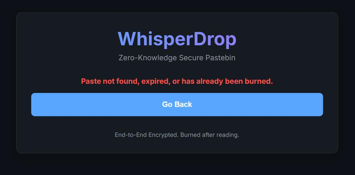 Opening the same link a second time — the paste is already burned